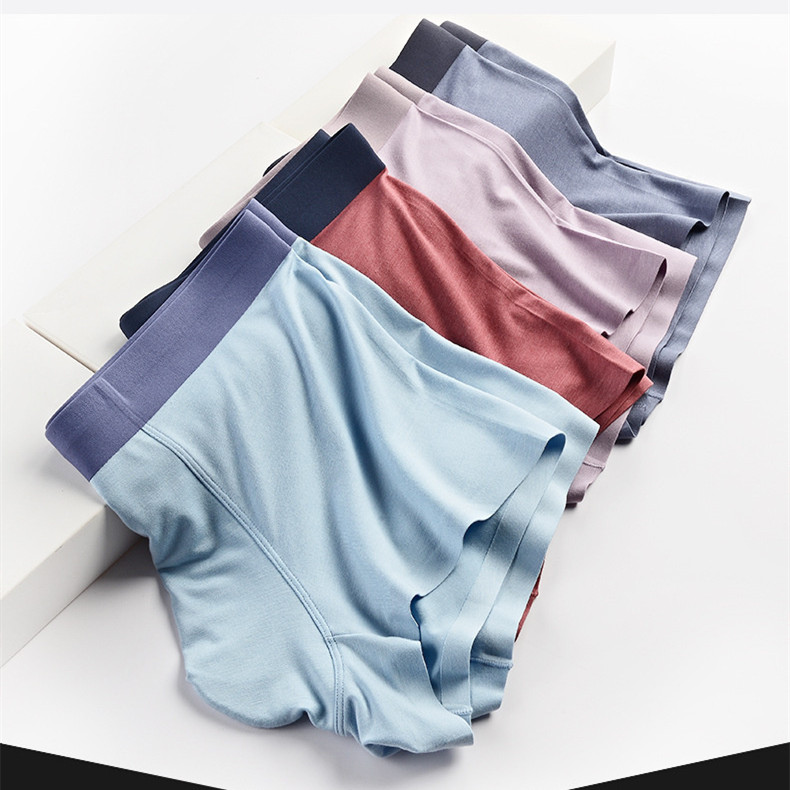 2021年秋冬蚕蛹蛋白内裤腈纶