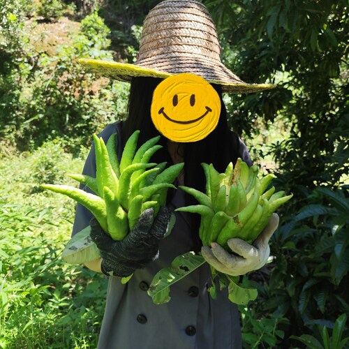 潮汕特产新鲜采摘佛手柑奶茶香橼清供观赏水果佛手果柠檬香去味