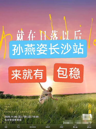 【必中代拍】孙燕姿长沙演唱会门票代拍
