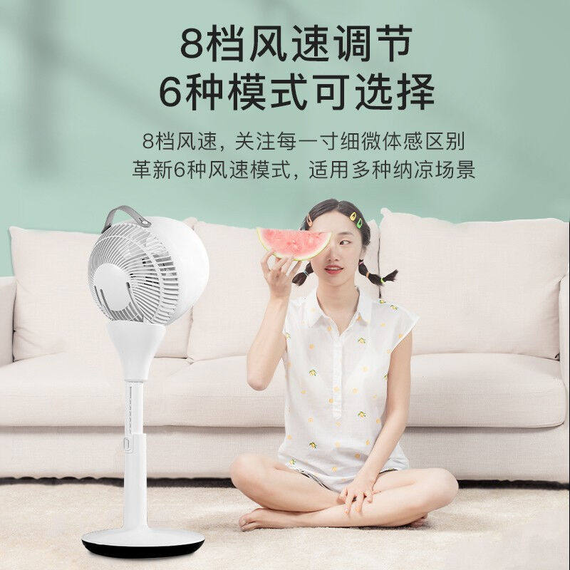 SEEDEN风扇空气循环扇家用落地扇立式涡轮换气扇遥控摇头定时直流