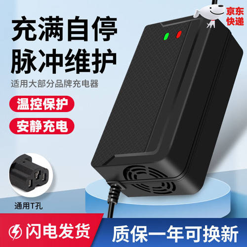 天南兄弟电动车电瓶车充电器48V60V72V64V20A通用三轮车充电器自