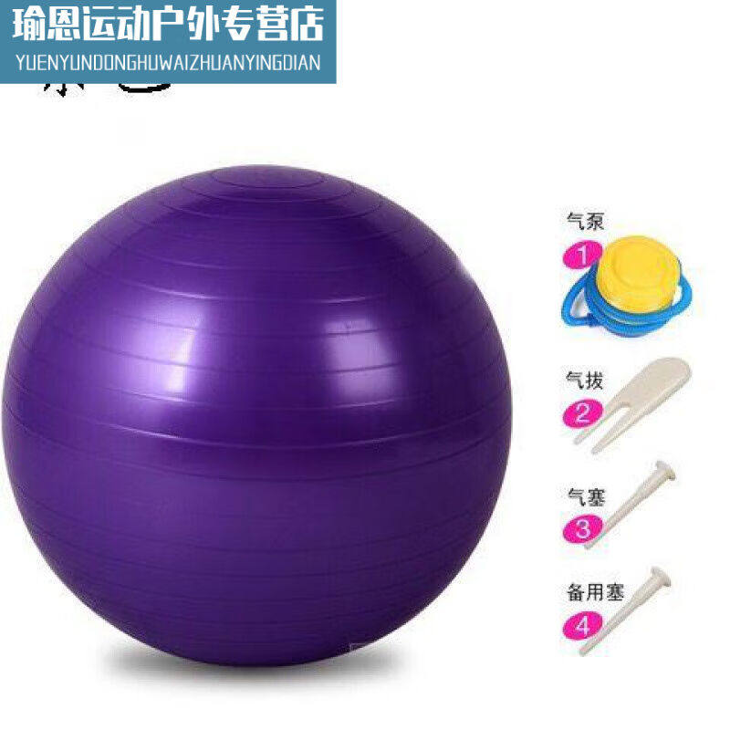 图颖承重500斤瑜伽球加厚防爆球初学者健身球65cm+打气筒紫色紫色