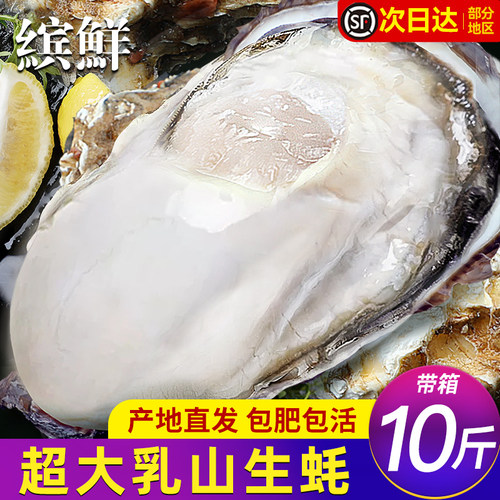 乳山生蚝鲜活特大10斤带箱