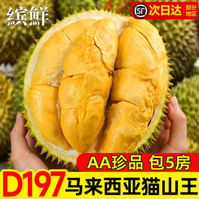 至少5房！马来西亚D197猫山王