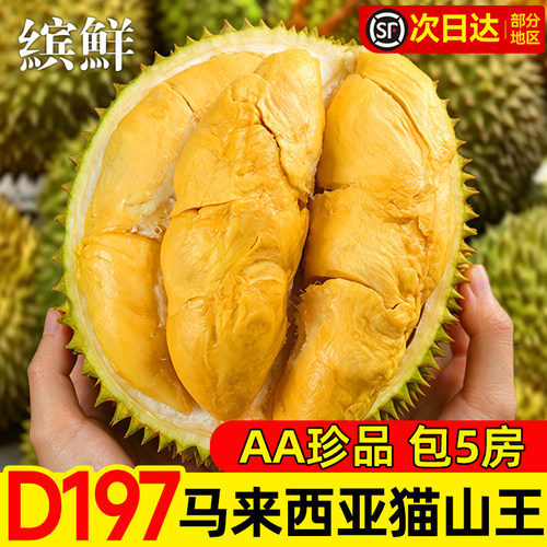 至少5房！马来西亚D197猫山王