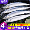 秋刀鱼新鲜冷冻商用整箱特大号烧烤料理海鲜水产鲜活深海鱼4斤装