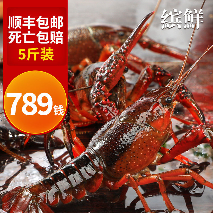 小龙虾鲜活水产特大潜江清水虾淡水养殖活虾生龙虾尾海鲜鲜活包邮