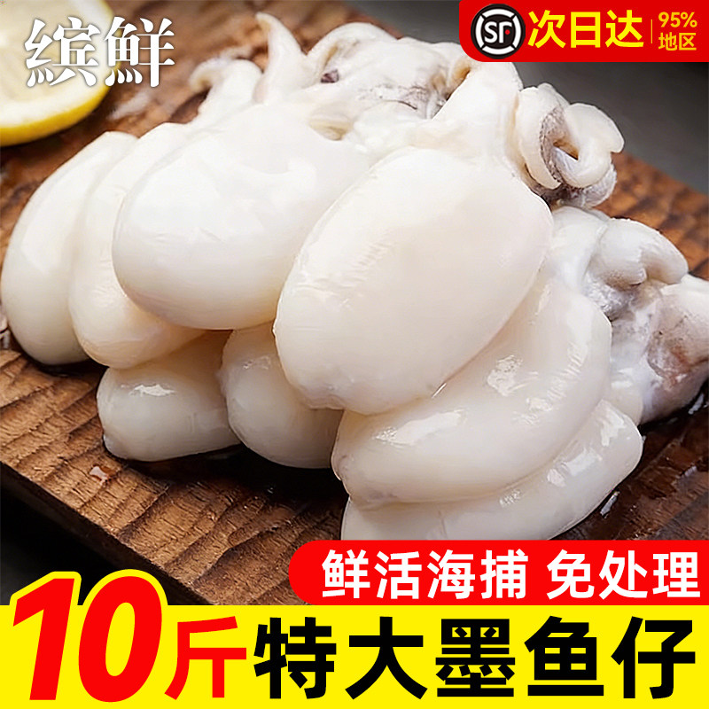 墨鱼仔新鲜冷冻小乌贼鱿鱼生鲜捞汁小海鲜火锅食材半成品水产商用