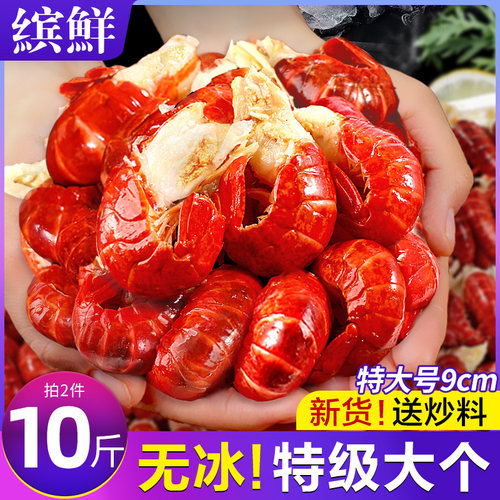 亏本冲量！24年新虾真无冰特大