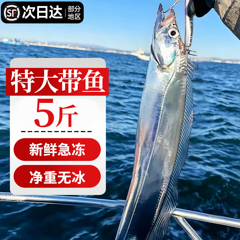 特大整条带鱼新鲜速冻中秋送礼