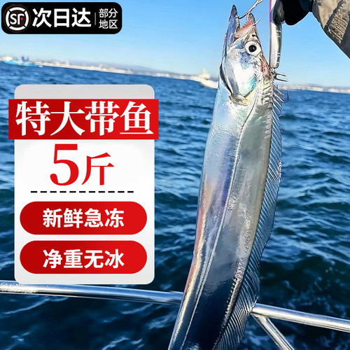 特大整条带鱼新鲜速冻中秋送礼