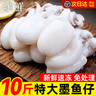 墨鱼仔新鲜冷冻小乌贼鱿鱼生鲜捞汁小海鲜火锅食材半成品水产商用