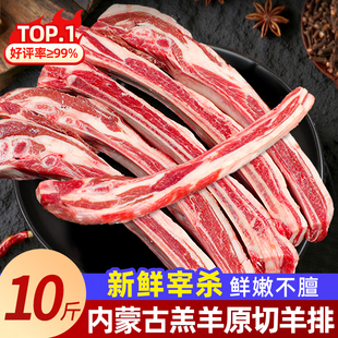 羊排新鲜现杀5斤内蒙羔羊原切手把羊肉烤羊肋排滩羊烧烤食材商用