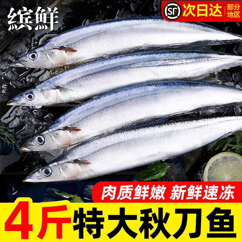 特大号秋刀鱼!新鲜冷冻整箱
