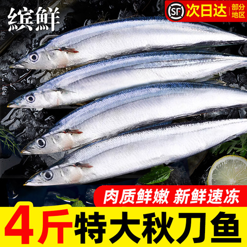特大号秋刀鱼！新鲜冷冻整箱