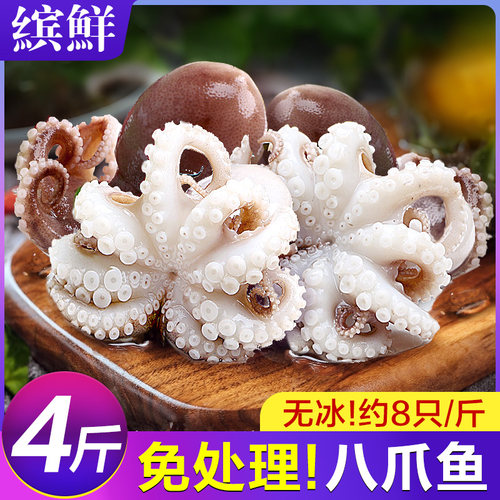 39元限时抢!5斤无冰小八爪鱼新鲜