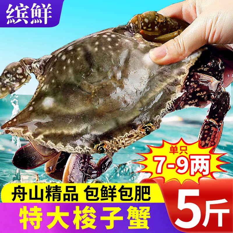 梭子蟹特大舟山新鲜野冻蟹生海蟹大螃蟹海鲜水产海蟹白蟹飞蟹顺丰
