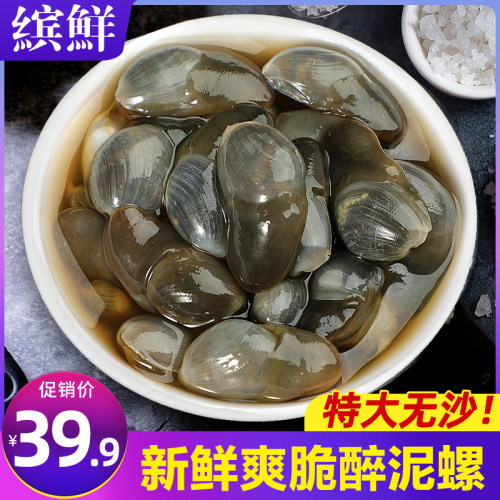 舟山特产超大黄泥螺新鲜即食