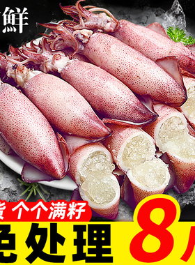 海兔子满籽墨鱼仔新鲜海兔鲜活带籽笔管鱼大乌贼籽乌鱿鱼海鲜水产