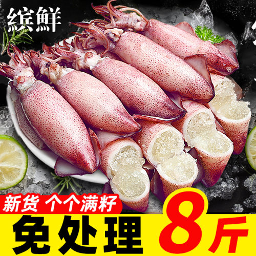 新货！只只满籽笔管鱼！顺丰包邮