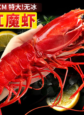 红魔虾鲜活甜虾刺身水产海鲜大虾超大非莫桑比克西班牙海鳌虾生腌