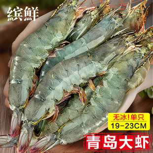 大虾鲜活超大基围虾青岛海虾特大青虾速冻海鲜虾类对虾2030盐冻虾