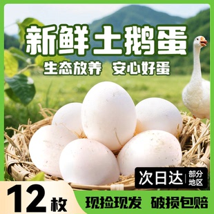 正宗土鹅蛋农家散养新鲜孕妇精品12枚特大生鹅蛋山东特产当现补滋