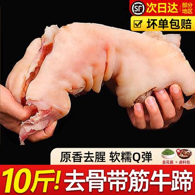 牛蹄筋新鲜牛大筋生牛主筋