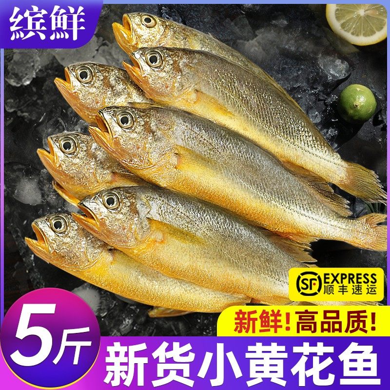 小黄鱼新鲜冷冻海鲜真正海鱼鲜活黄花鱼生鲜冰鲜深海水产商用烧烤,水产肉类/新鲜蔬果/熟食,黄鱼,淘宝优惠券,粉丝福利购,淘宝优惠卷
