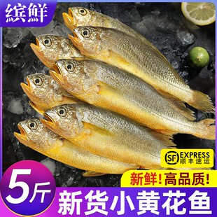 小黄鱼新鲜冷冻海鲜真正海鱼鲜活黄花鱼生鲜冰鲜深海水产商用烧烤