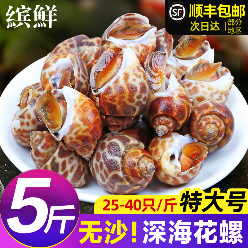 花螺鲜活新鲜海螺特大号海鲜水产鲜活鲜冻冷冻东风螺特大花螺贝类 - 缤鲜旗舰店出品