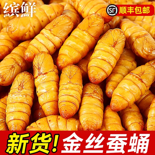 超高品质金丝蚕蛹当季新货