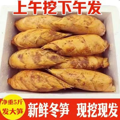 浙江冬笋新鲜现挖现发，大降价!!