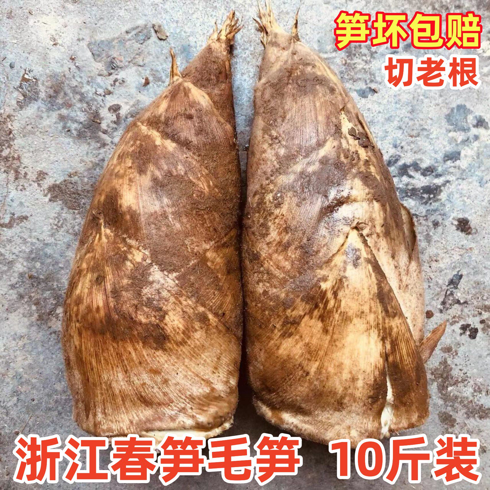 浙江毛笋春笋新鲜现挖现发蔬菜鲜笋毛竹笋黄泥冬笋火锅配菜去老根