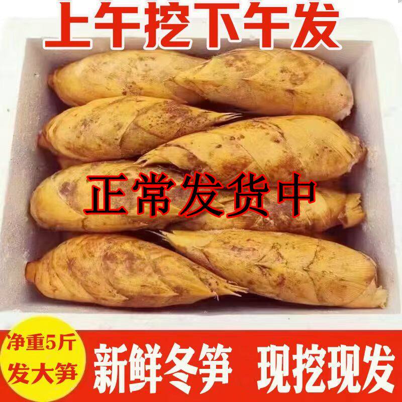 浙江冬笋新鲜现挖现发时令蔬菜鲜笋竹笋毛笋黄泥笋火锅配菜去老根