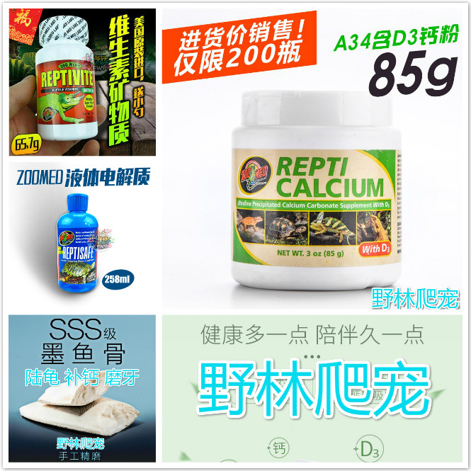 蓝舌蜥蜴钙粉爬宠陆龟维