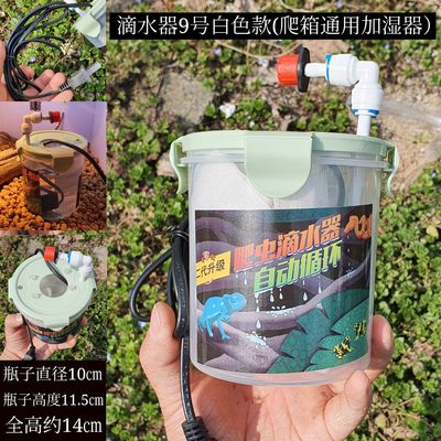 宠物蜥蜴饮水机睫角守宫喝水器水泵自动循环水爬宠蜥喂水流动活水