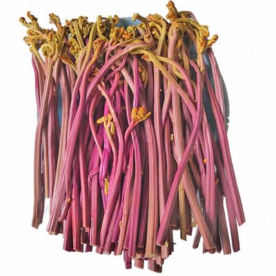 山野菜新鲜特产10斤食材