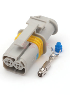 18385.000.0002国产2P适用于马达启动汽车线束插头DJ7028B-1.5-21