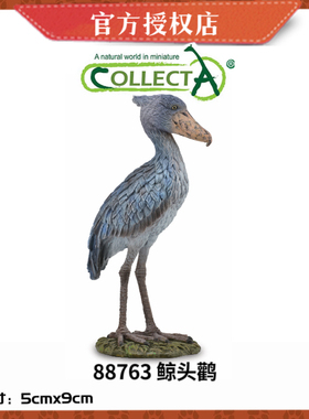 英国CollectA我你他野生动物模型玩具88763 鲸头鹳