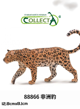 英国CollectA我你他仿真野生动物模型88866非洲豹黑豹远东豹猎豹