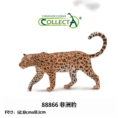英国CollectA我你他仿真野生动物模型88866非洲豹黑豹远东豹猎豹
