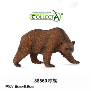 英国CollectA我你他野生动物模型玩具88560棕熊88698美洲黑熊袋熊