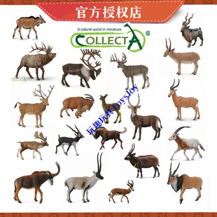 【蹄角类推荐】CollectA野生动物玩具仿真动物模型 蹄角类羚羊鹿