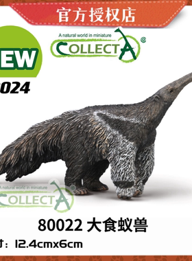 英国CollectA我你他野生动物模型玩具80022 大食蚁兽