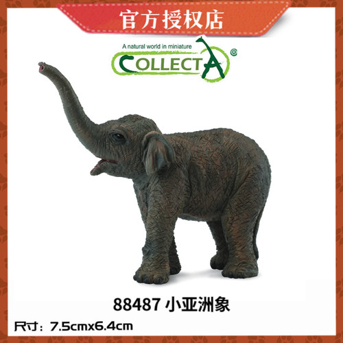 英国CollectA我你他仿真野生动物模型玩具大象幼崽88487 小亚洲象