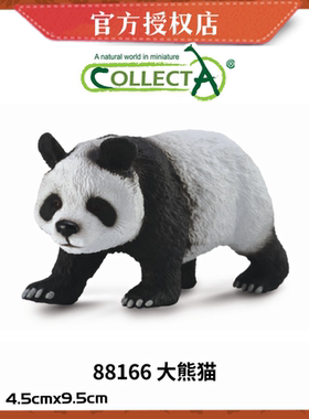 英国CollectA我你他仿真野生动物模型88166 大熊猫小熊猫幼崽
