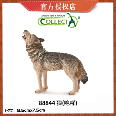英国CollectA我你他仿真野生动物模型88844狼咆哮88767 袋狼鬓狼