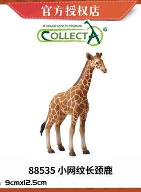 英国CollectA我你他仿真野生动物模型88534网纹长颈鹿 长颈鹿幼崽