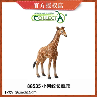 英国CollectA我你他仿真野生动物模型88534网纹长颈鹿 长颈鹿幼崽